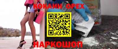 крисы Краснознаменск