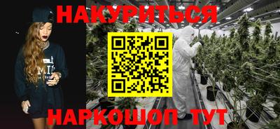 крисы Краснознаменск