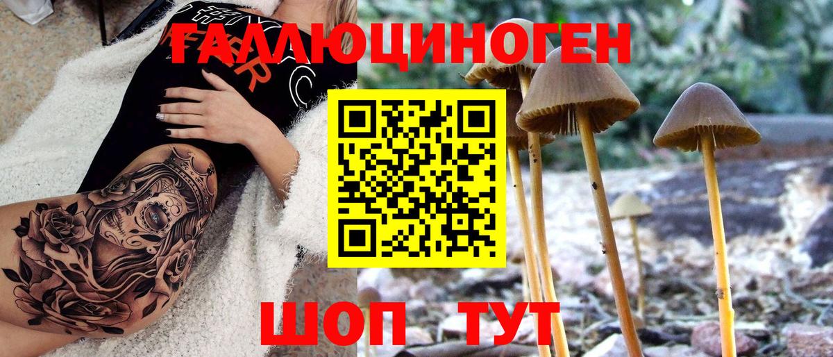 Псилоцибиновые грибы ЛСД  Вход с VPN  Псилоцибиновые грибы ЛСД  Котовск 