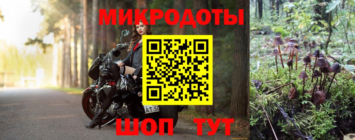 Псилоцибиновые грибы прущие грибы Котовск